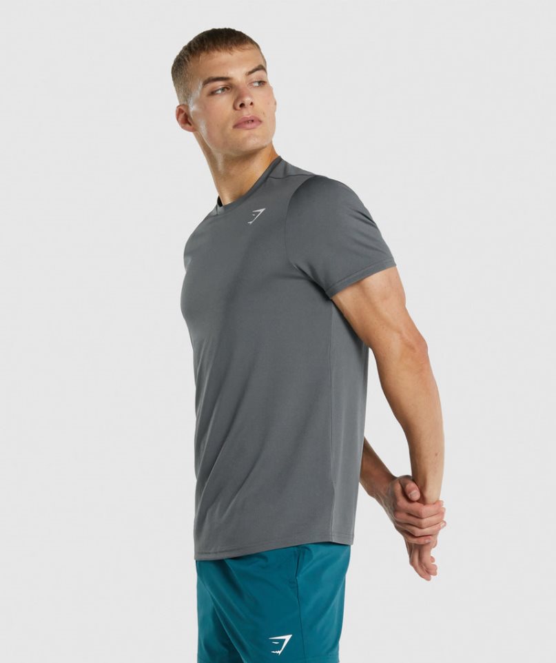 Koszulki Gymshark Arrival Regular Fit Męskie Szare | PL 913PIB